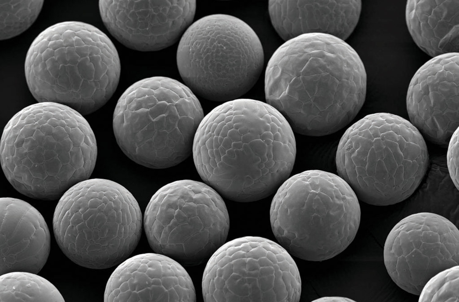 microscopic view of additive materials taking the form of small textured balls